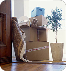 Slideshow Image 6
